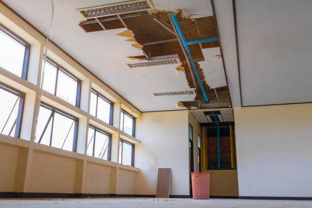Best Fire Damage Restoration  in Connelly Springs, NC