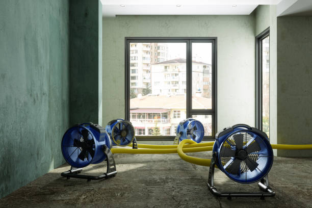 Best Water damage contractors near me  in Connelly Springs, NC